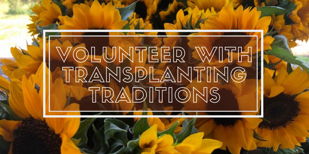 Volunteer Registration